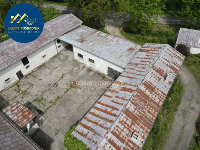 Działka siedliskowa Nosalin. Zdjęcie 6