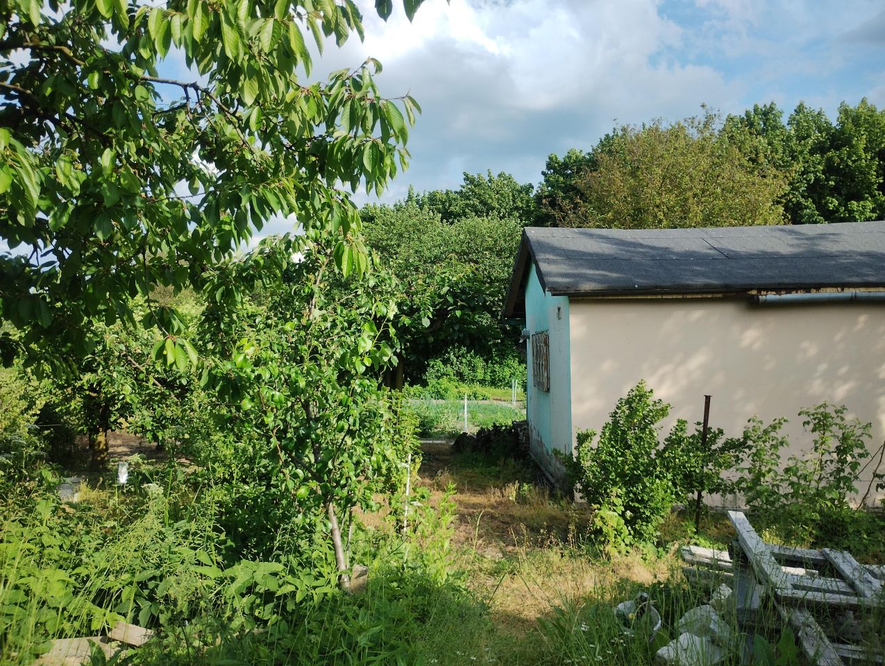 Działka rod Zamość Zamczysko, ul. Żdanowska. Zdjęcie 4