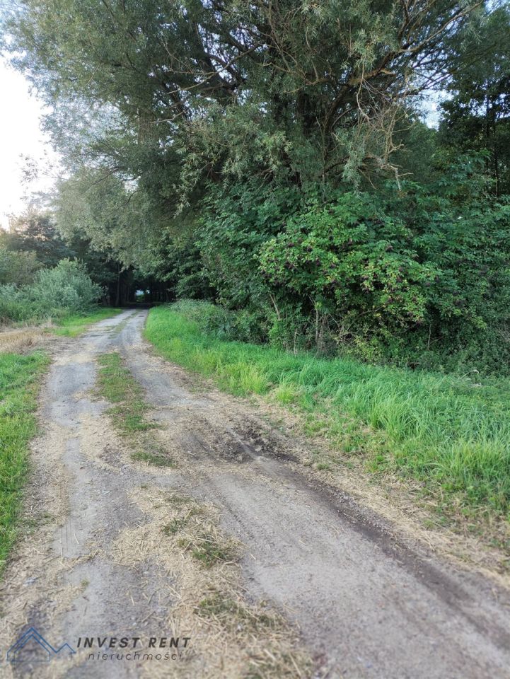 Działka rolna Kołobrzeg. Zdjęcie 3