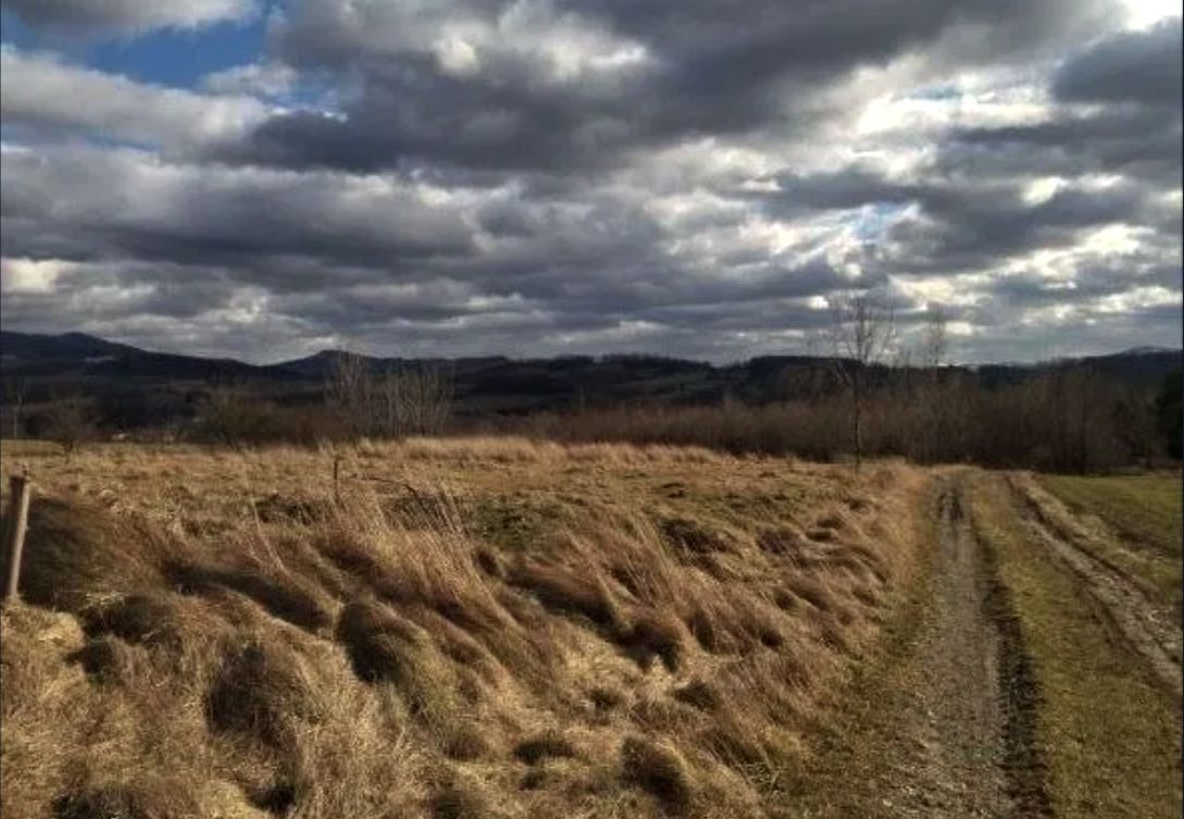 Działka rolna Cieszyn, Puńców. Zdjęcie 6