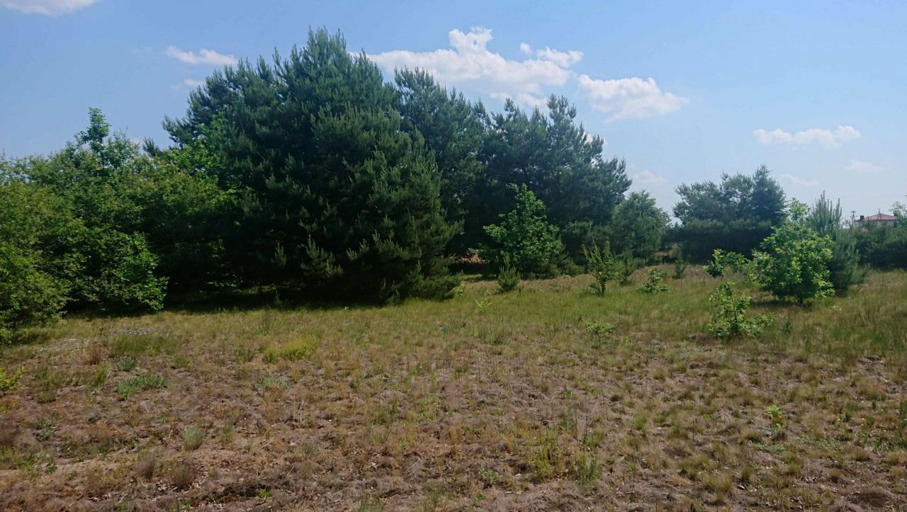 Działka budowlana Młynarze. Zdjęcie 1