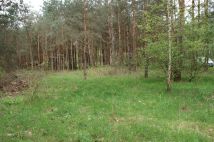 Działka rekreacyjna Czerwona Wola Myszkówka. Zdjęcie 2