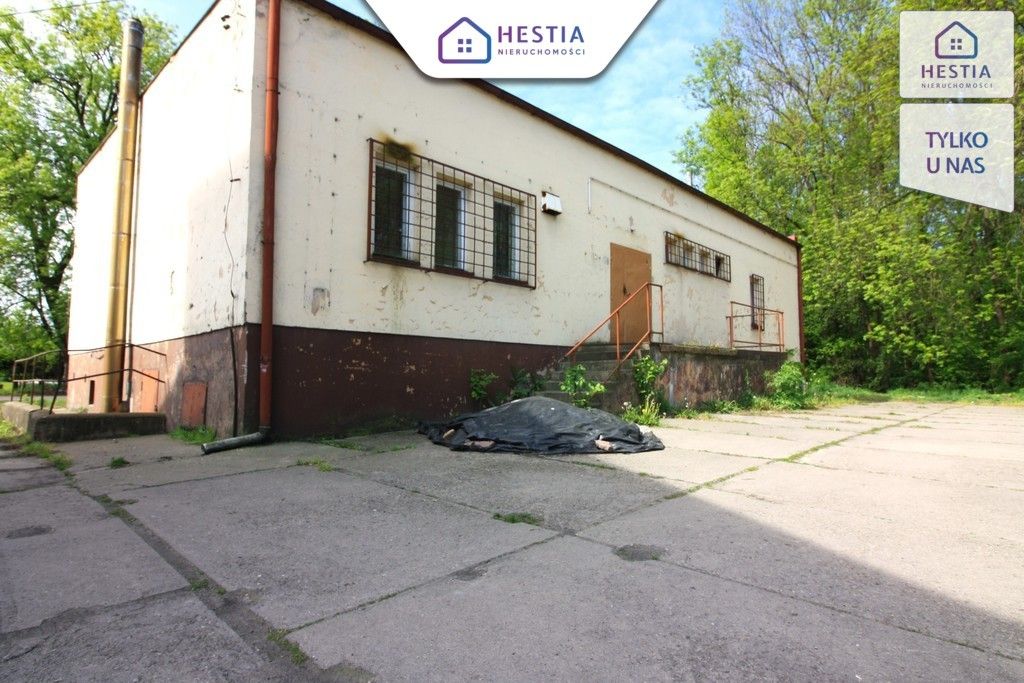 Lokal Reńsko. Zdjęcie 2