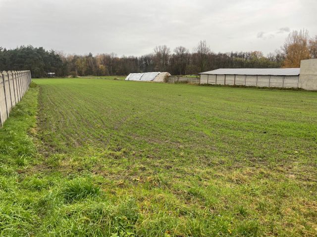 Działka rolno-budowlana Przemęt, ul. Rzemieślnicza. Zdjęcie 1