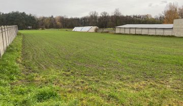 Działka rolno-budowlana Przemęt, ul. Rzemieślnicza