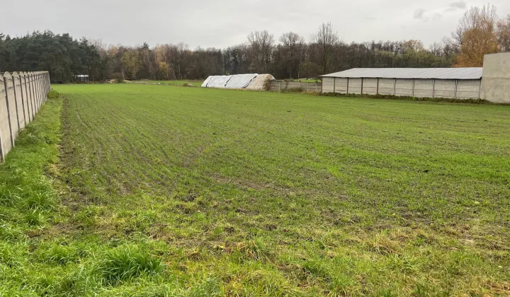 Działka rolno-budowlana Przemęt, ul. Rzemieślnicza