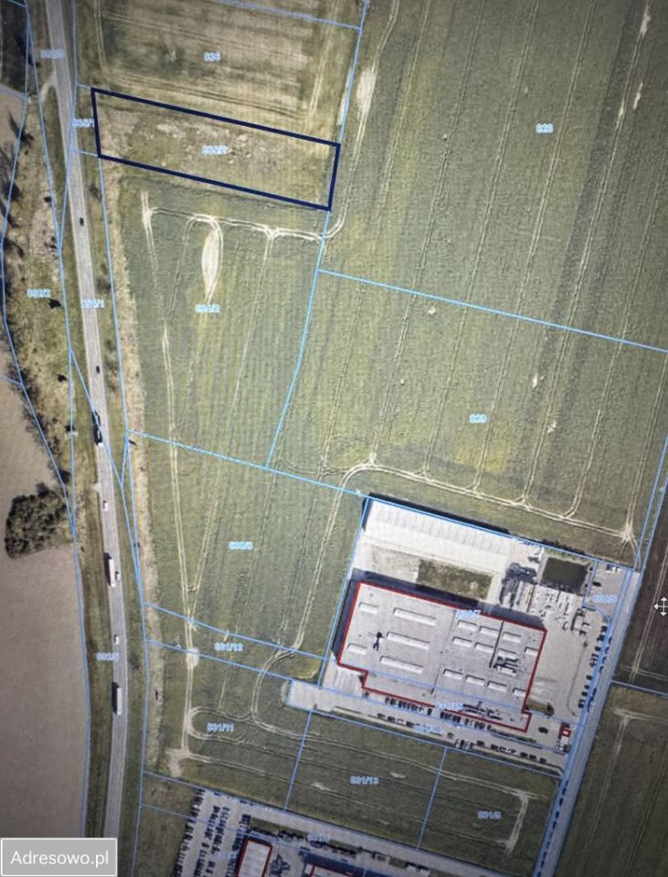 Działka inwestycyjna Jaszkowa Dolna. Zdjęcie 3