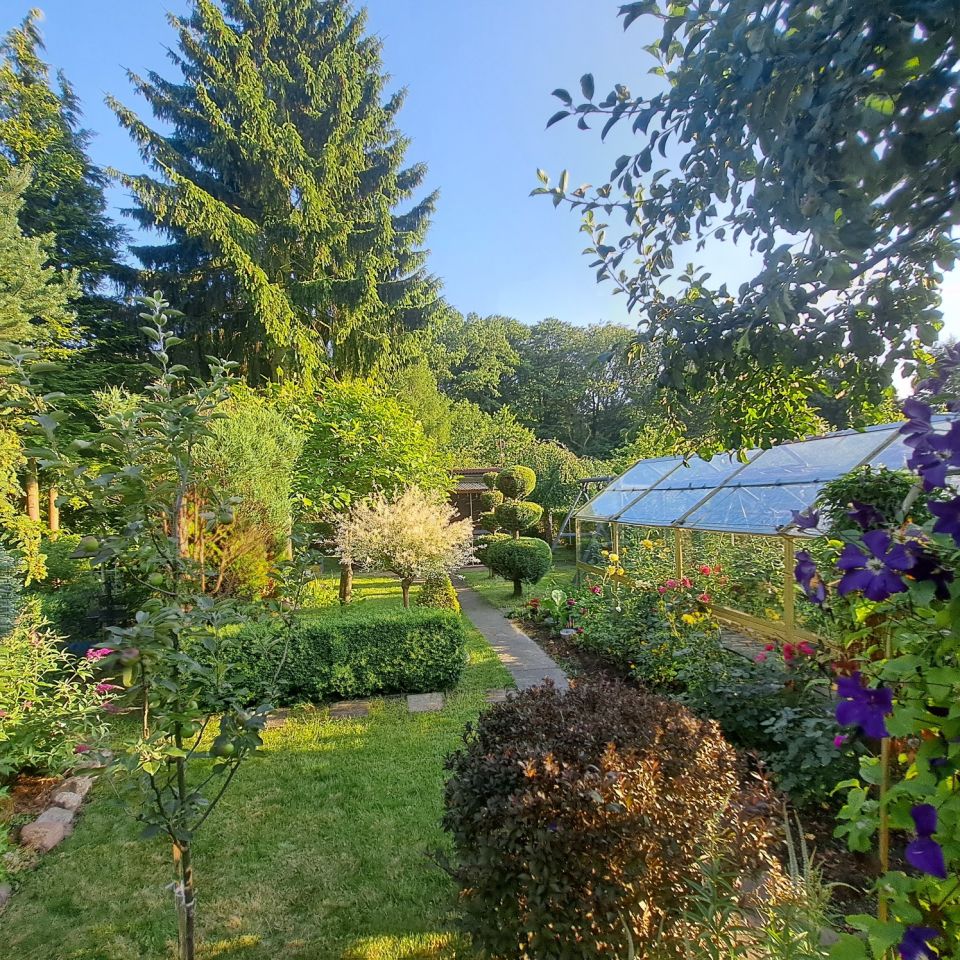 Działka rod Elbląg, ul. Marymoncka. Zdjęcie 7