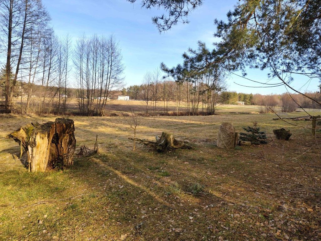 Działka budowlana Biadaszka Zwierzyniec. Zdjęcie 5