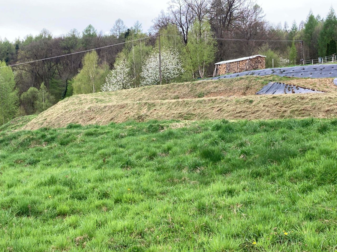 Działka rolno-budowlana Przedmieście Czudeckie Zawisłocze. Zdjęcie 11