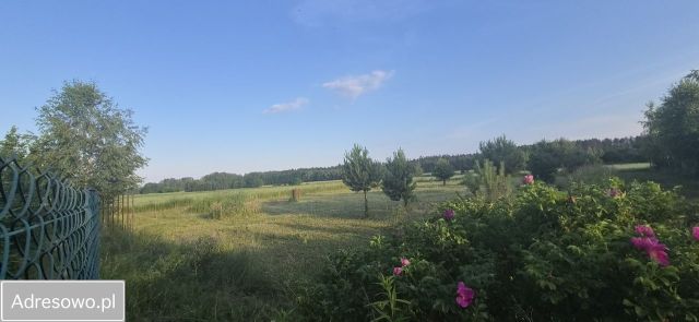 Działka budowlana Ciućkowo. Zdjęcie 1