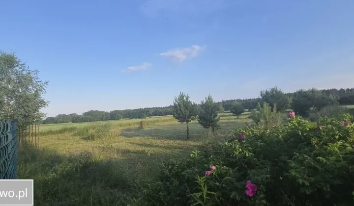 Działka budowlana Ciućkowo