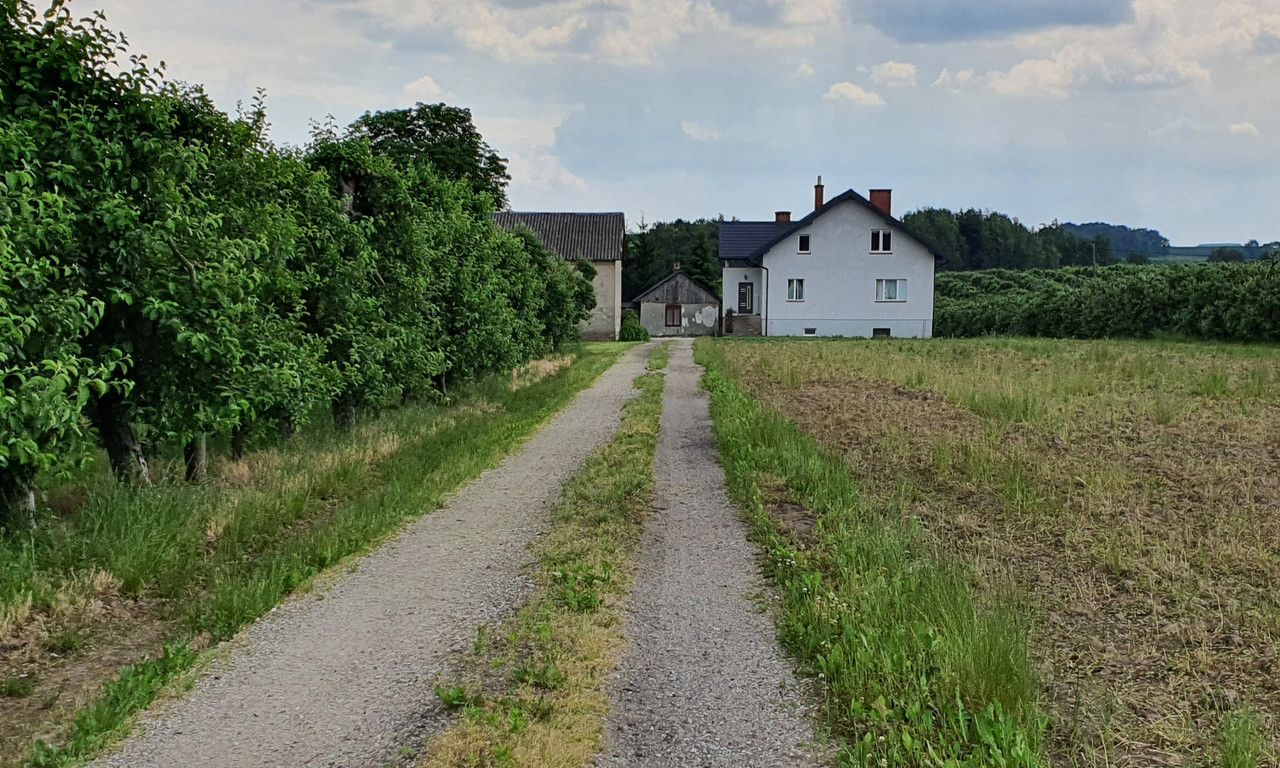 siedlisko Dębie. Zdjęcie 8