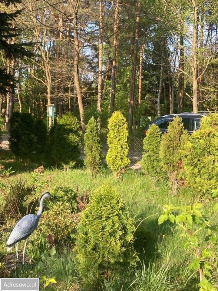 Działka rod Stefanowo, ul. Ułanów. Zdjęcie 4