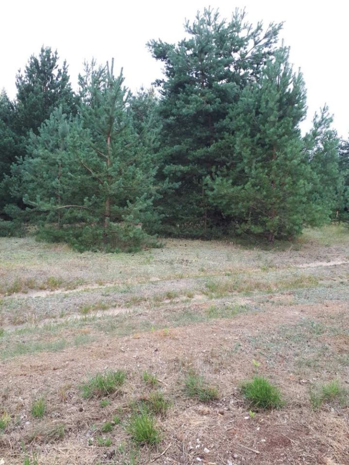 Działka budowlana Rosocha-Kolonia. Zdjęcie 3