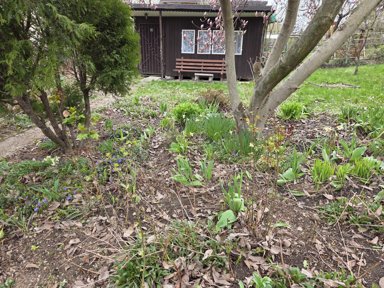 Działka rod Bielsko-Biała Lipnik, ul. Łąkowa. Zdjęcie 14