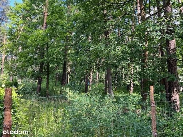 Działka budowlana Magdalenka, ul. Jaworowa. Zdjęcie 2