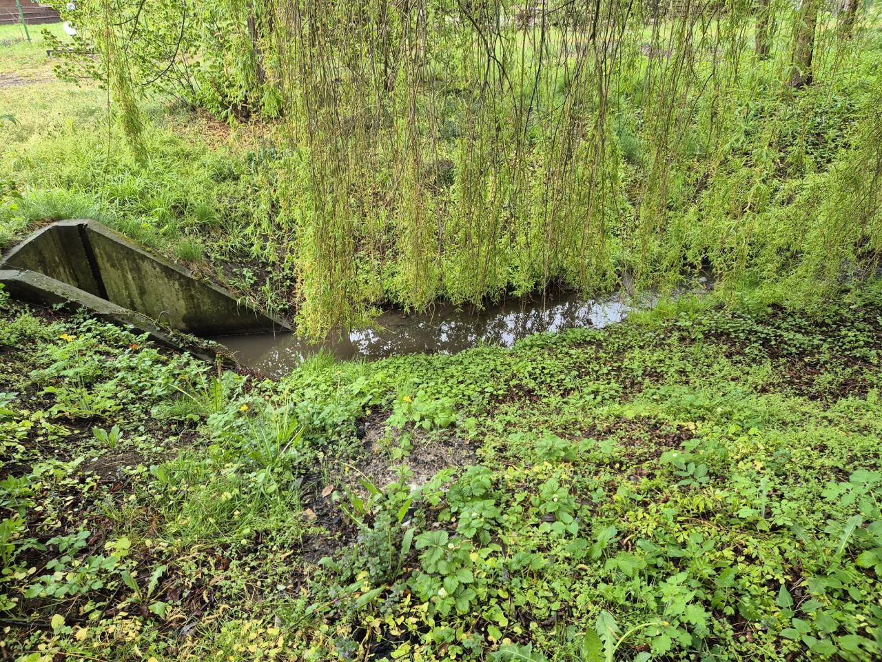 siedlisko, 4 pokoje Elbląg Rubno Wielkie, ul. Pszeniczna. Zdjęcie 10