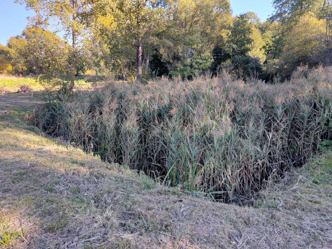 Działka inna Skarżysko-Kamienna Podemłynek, ul. Piękna. Zdjęcie 7