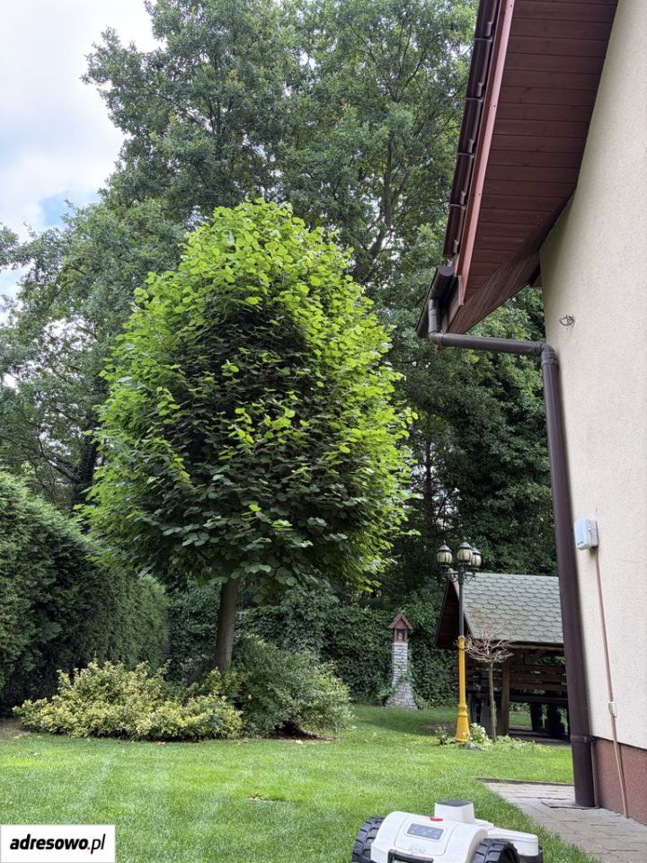 dom wolnostojący, 6 pokoi Kolonia Brużyca. Zdjęcie 6
