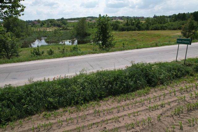 Działka rolno-budowlana Chojno. Zdjęcie 8