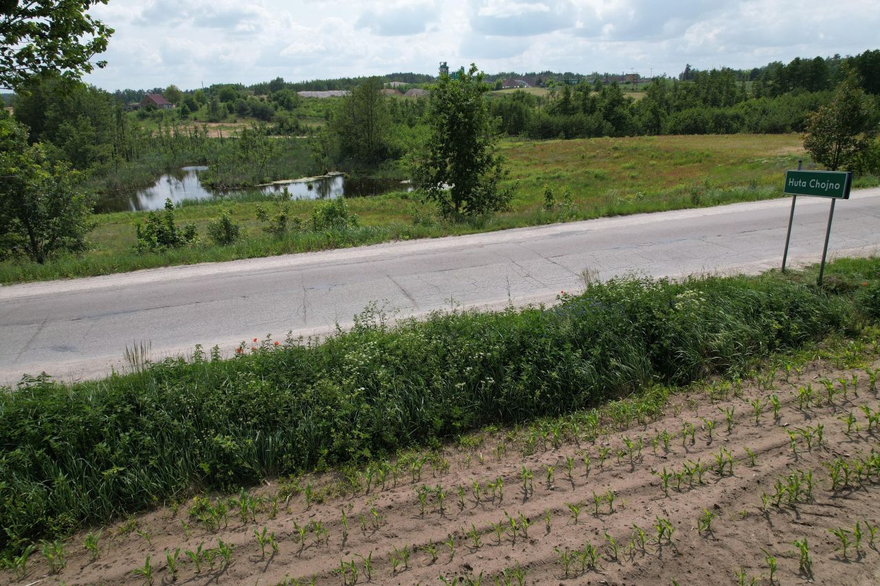 Działka rolno-budowlana Chojno. Zdjęcie 8