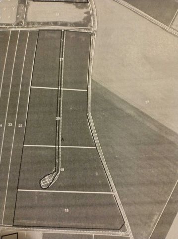 Działka rolna Sokolniki. Zdjęcie 1