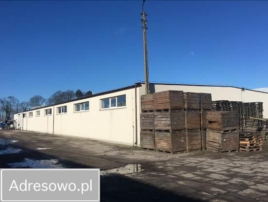 Hala/magazyn Kaliska. Zdjęcie 3