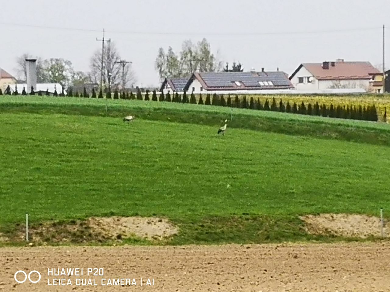 Działka budowlana Karsin, ul. Tęczowa. Zdjęcie 1