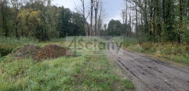 Działka budowlana Wólka. Zdjęcie 2