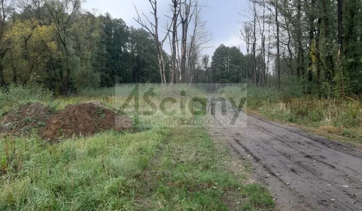 Działka budowlana Wólka