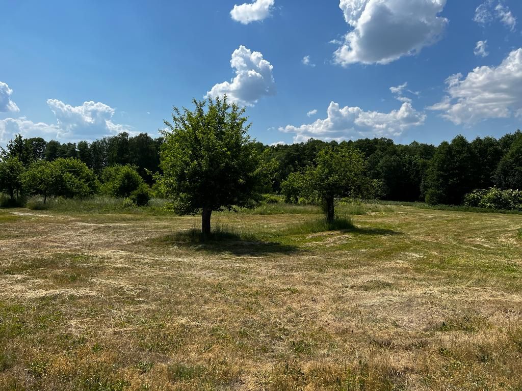 Działka rolna Podleńce. Zdjęcie 6