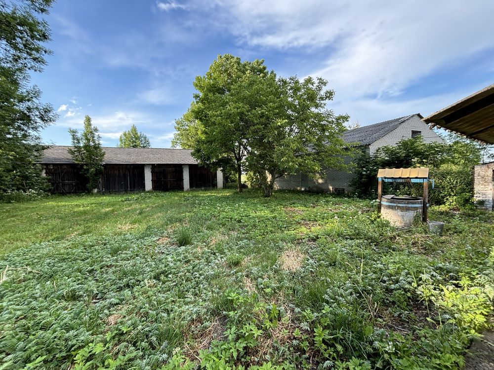 Działka siedliskowa Honiatycze. Zdjęcie 8