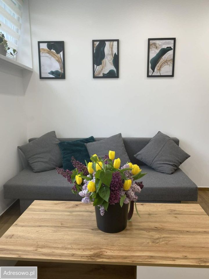 Mieszkanie 1-pokojowe Kraków Bronowice, ul. Bronowicka. Zdjęcie 3