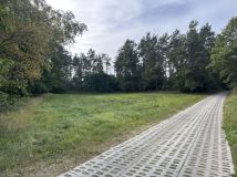 Działka leśna Głodowo. Zdjęcie 4