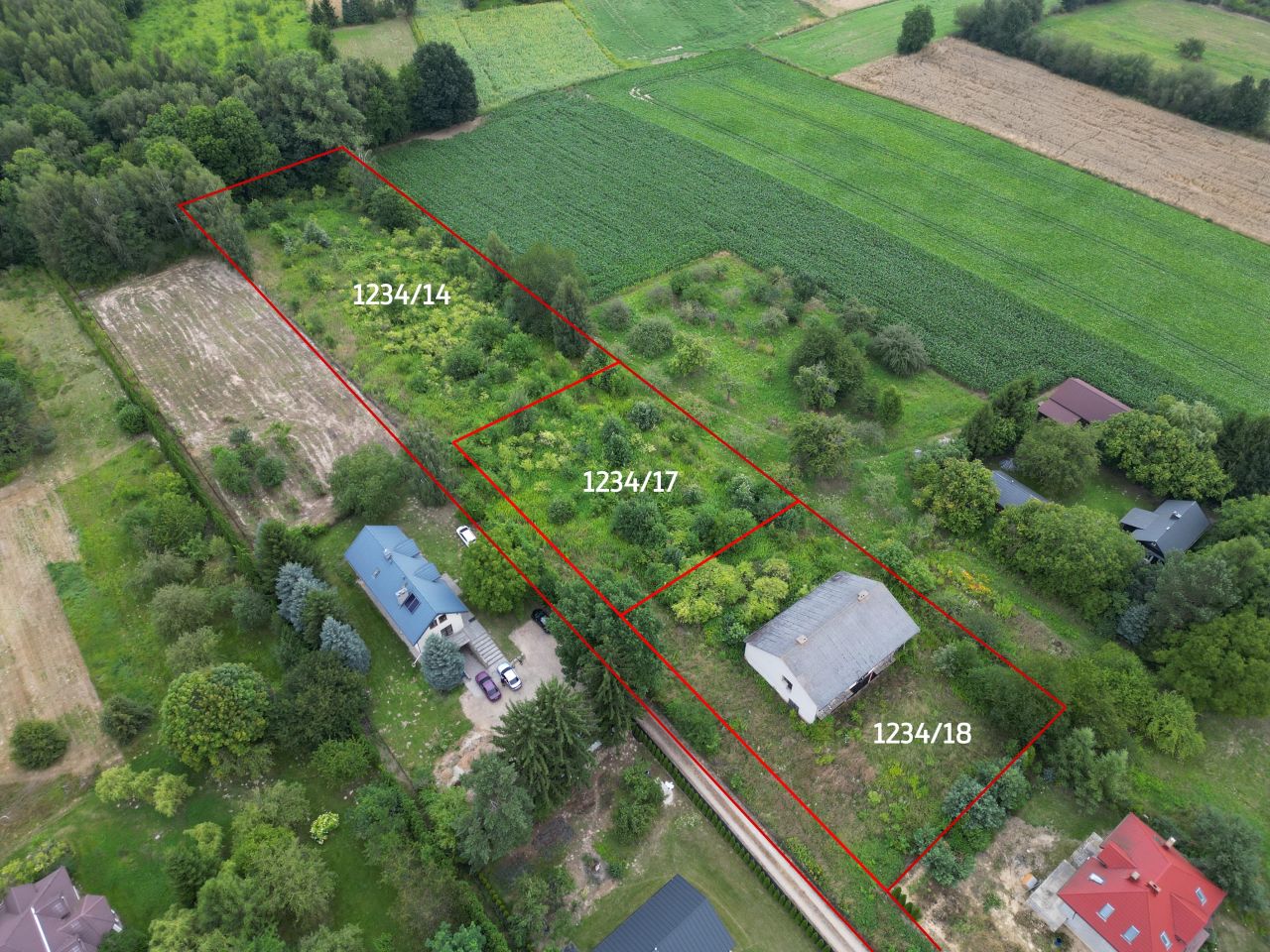 inny Motycz. Zdjęcie 5