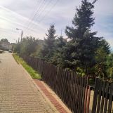 Działka budowlana Szydłowiec Praga, ul. Poprzeczna. Zdjęcie 2