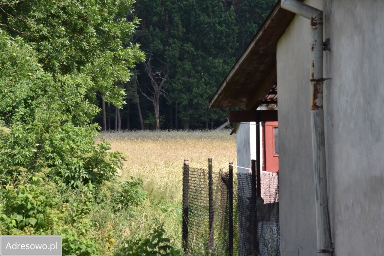 dom wolnostojący, 2 pokoje Felicja. Zdjęcie 5