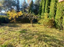 Działka rod Płock. Zdjęcie 3