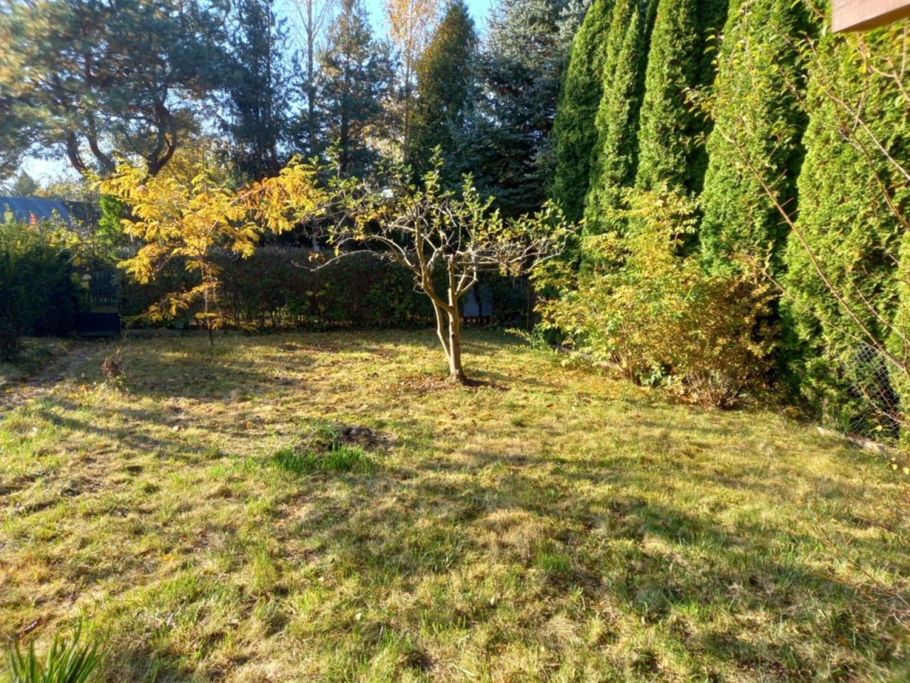 Działka rod Płock. Zdjęcie 4