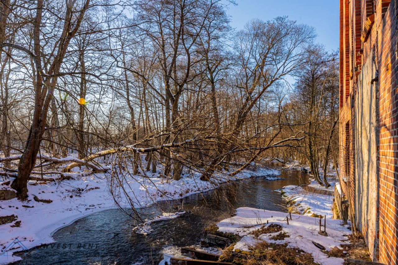 Działka inwestycyjna Dobrowo Dobrówko. Zdjęcie 16