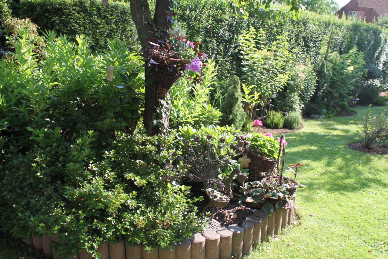 Działka budowlana Trojanowice, ul. Wąwozowa. Zdjęcie 6