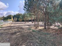 Działka budowlana Kępa. Zdjęcie 4