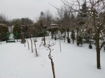 Działka rod Bydgoszcz Osiedle Leśne, Sulkowskiego. Zdjęcie 2