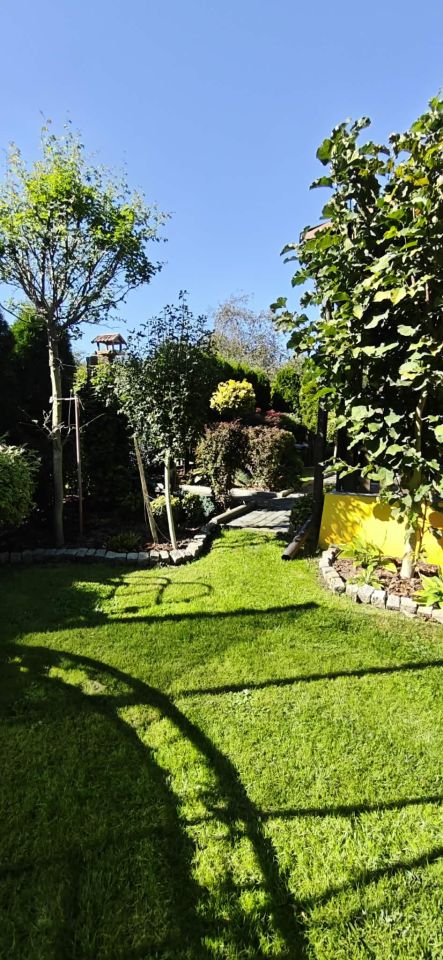 Działka rod Wodzisław Śląski, ul. Marklowicka. Zdjęcie 16