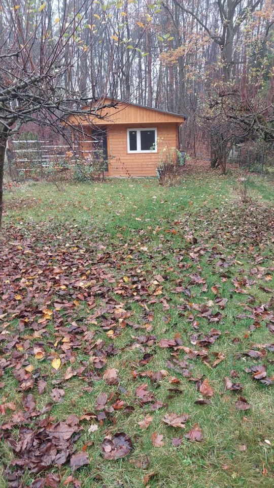 Działka rod Jelonek. Zdjęcie 6