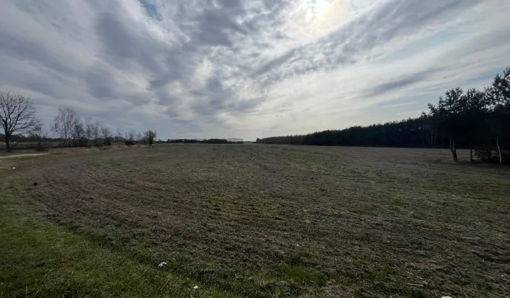 Działka budowlana Zimnica