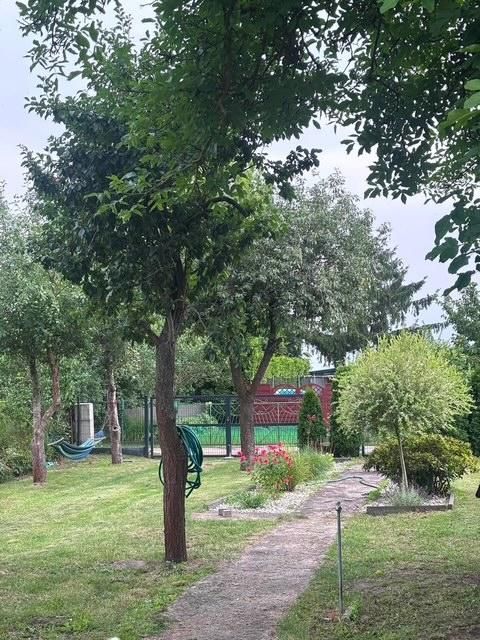Działka rod Bydgoszcz Górzyskowo, ul. Różana. Zdjęcie 7