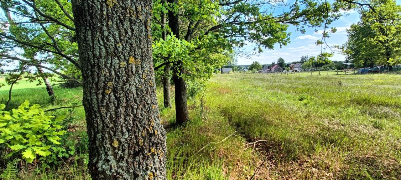 Działka budowlana Złotnik. Zdjęcie 2
