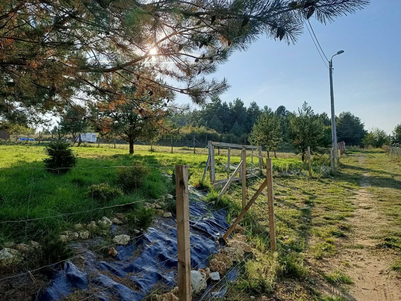 Działka budowlana Ryczówek. Zdjęcie 8
